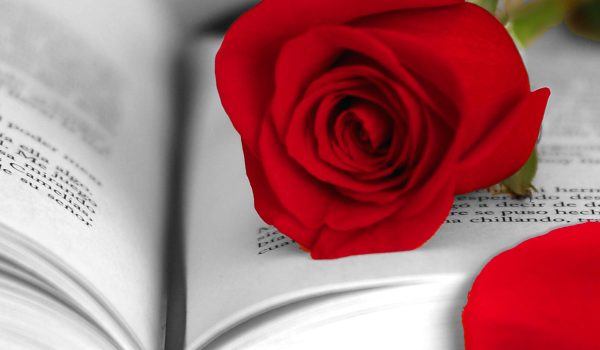 Feliç Diada de Sant Jordi 2024