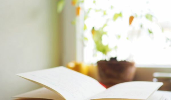 Proper seminari Jane Addams 19/02/2026